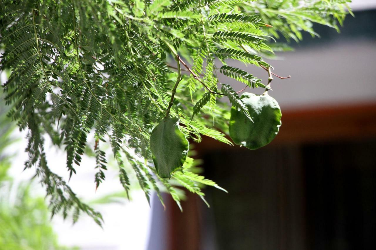 Hotel Plaza Los Andes Εξωτερικό φωτογραφία